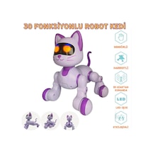 Mey İthalat Sh40194 U/k Dans Eden Robot Kedi