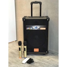 Lt-910 Kablosuz 2 Mikrofonlu Kablosuz Hoparlör-23626