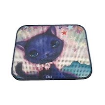 Kedi Tuvaleti Önü Paspası - 60 X 45 Cm Mavi 2li