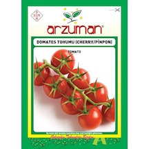 Çeri Cherry Tipi Domates Tohumu 300 Ad