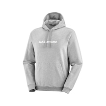 Salomon Sal Logo Perf Hoodıe M 1009 Gri