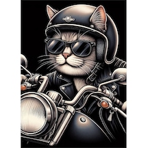 Motosiklet Kullanan Kedi Modern Mdf Tablo 35cm X50cm