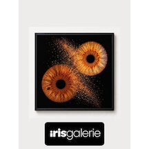 Iris Galerie 25x25 Cm Duo Fusion Light Box Siyah Çerçeveli Işıklı Tablo