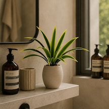 Yapay Bitki Drasena Dracena Demet Sarı Yeşil 50 Cm