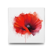 Vektörel Gelincik Tablosu - 60x60cm -