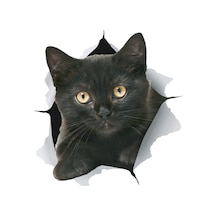 Siyah Labrador Köpek Araba Sticker 18Cm