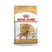 Golden Retriever Adult Yetişkin Köpek Maması 12 Kg