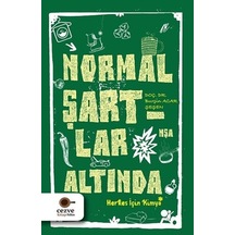 Normal Şartlar Altında  - Burçin Acar  - Cezve Kitap