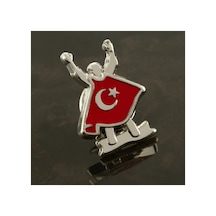 Gümüş Rengi