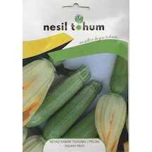 Nesil Beyaz Kabak Tohumu Pelin 10 GRam