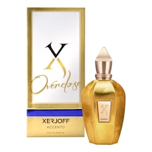 Xerjoff Accento Overdose Erkek Parfüm EDP 100 ML