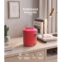 Bluetooth Hoparlör Sd Usb Destekli Taşınabilir Speaker D24