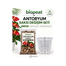Antoryum Saksı Değişim Seti 3 L Harç Ve 0,75 L Delikli Saksı 1