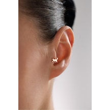 Gianfranco Shine Kedi Tragus Küpe