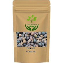Defne Laurus Nobilis Tohumu 40 Gr