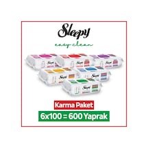 Sleepy Easy Clean Premium + Çiçek Serisi Yüzey Temizlik Havlusu Mendili 6x100 Karma Paket