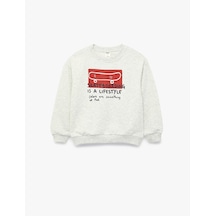 Koton Uzun Kollu Bisiklet Yaka Baskı Detaylı Sweatshirt Gri Melanj 7wmb10055tk