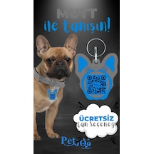 Petjoo 10.Mutt Mavi-Gri Qr'lı Köpek Künyesi