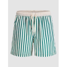 Jack & Jones Jack Jones Erkek Çizgili Deniz Şortu 12291511 Yeşil