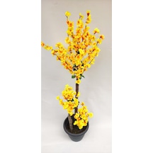 Rüzgar Y Apay Çiçekçilik 145 Cm Sarı Bahardalı Sarı