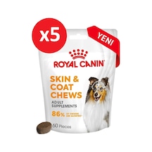Royal Canin Skin&coat Chews Deri Ve Tüy Sağlığını Destekleyen Tamamlayıcı Köpek Ödül Maması 240g 5 Paket