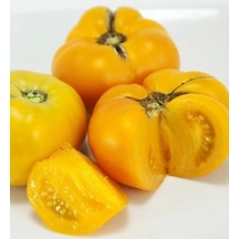 Big Yellow Domates Tomatoes Tohumu 15 Tohum