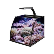 Belly Box 25 Ledli Sumplu Nano Akvaryum 26x26x24cm