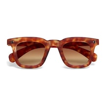 Okkia Firenze Unisex Güneş Gözlüğü Sahara Havana / Lens: Kahverengi Gradyan Kahverengi - Leopar