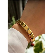 Lunarie Modüler Italian Charm Düz Gold Çelik Bileklik Altın
