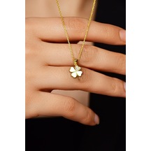 Zirkon Taşlı Gold Dört Yapraklı Yonca Gümüş Kolye