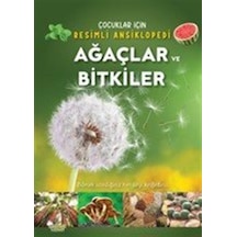 Ağaçlar Ve Bitkiler / Kolektif