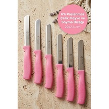 Feller 6'lı Lazer Tırtıklı Paslanmaz Çelik Sebze Meyve Bıçağı 22x2.4 Cm - Pembe Saplı Soyma Ve Doğrama Seti