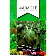 Miracle Toros Geniş Yaprak Roka Tohumu 10 GRam