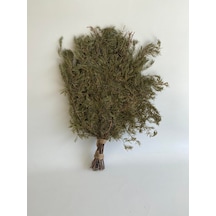 Köknar Banyo ve Sauna Süpürgesi - Organik Köknar Süpürge