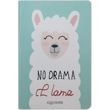 Lama Düz Twins 2 Defter Takım -