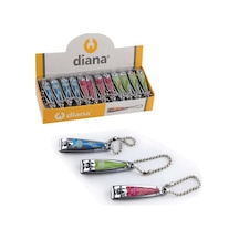 Çok Renkli