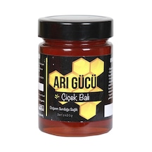 Arı Gücü Çiçek Balı 450 G
