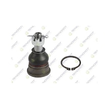 Teknorot N-202 Rotil Alt Sağ-sol Nıssan Sunny 1.6l Ga16 N14 90-95-almera 1.6l Ga16de N15 96-01-prımera 1.6l 2.0l Ga 16 Sr20 P11 96-01 4016050y00-4016052y00-4016060y20 -