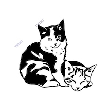 Kedicikler Sticker 17Cm