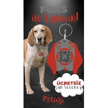 Petjoo 29.Foks Kırmızı-Gri Qr'lı Köpek Künyesi
