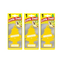 Little Trees 3'Lü Set Vanillaroma - Vanilya Oto Kokusu