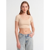 Dilvin Kısa Kollu Crop Top Bej Açık Bej