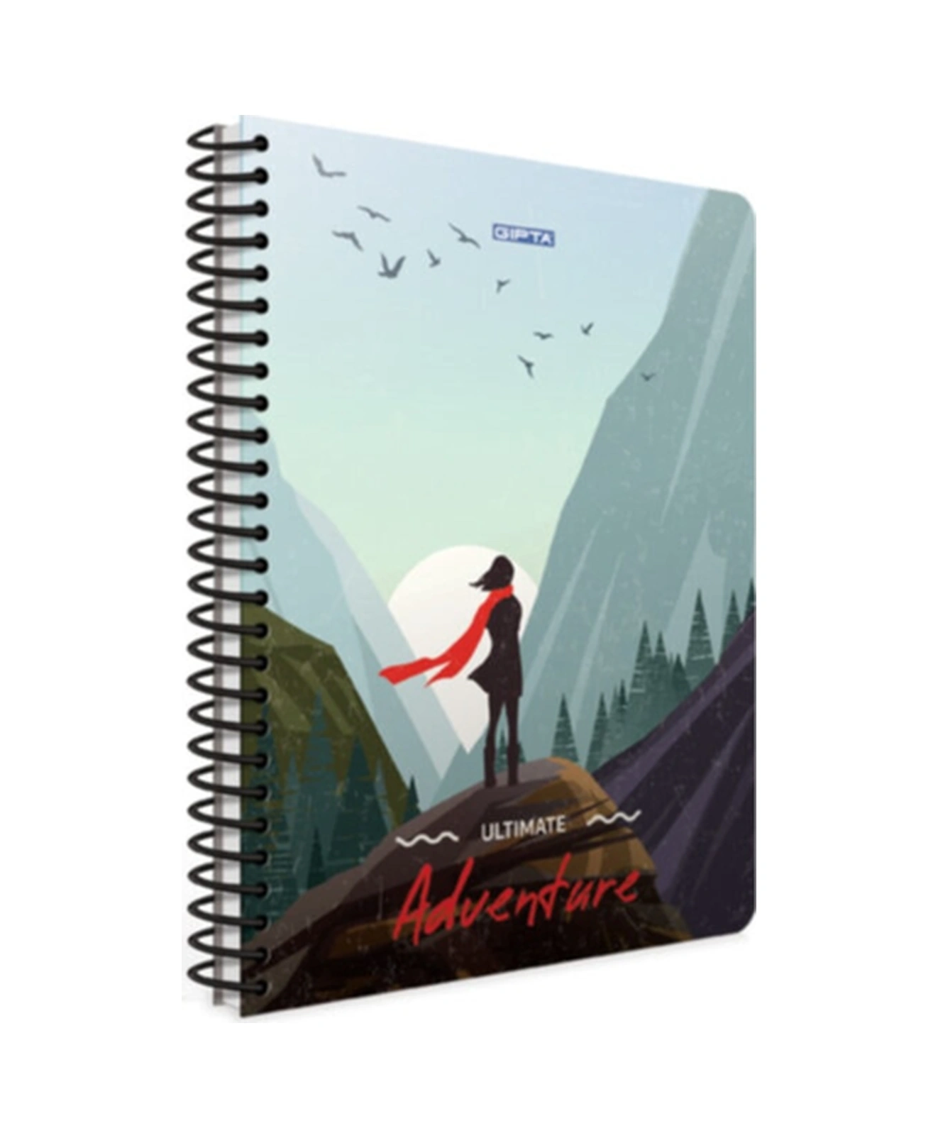 Adventure Spiralli Karton Kapak Defter 17x24cm 80 Yaprak Kareli 4 Lü Paket 3848