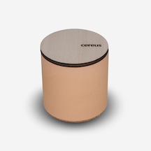 Amber Kokulu Doğal Soya Mum – Cereus Inytium Serisi El Yapımı Beton Kavanoz Mum 210 gr