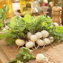 Beyaz Turp Tohumu 1000 Adet