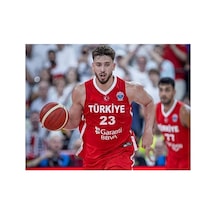 Türkiye Basketbol Milli Takımı Alperen Şengün Forması Kırmızı Çok Renkli