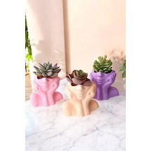 Dekoratif Vazo Seti Obje Ev Dekorasyon Masa Üstü Dekor Vazo Seti Model 28 Pembe Cappuccino Mor Pembe Cappuccino Mor