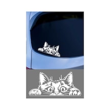 Cam Ve Metal Yüzeye Uygun Kendinden Yapışkanlı Kedi Oto Sticker, 15x15 Cm Abanoz