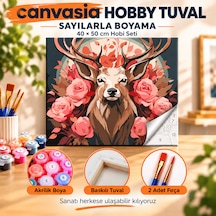 Sayılarla Boyama Numaralı Tuval Seti Boya Fırça Dahil 40x50 Cm Güllü Geyik
