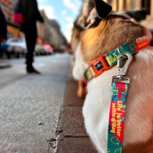 Desıgn, Recycled, Köpek Gezdirme Kayışı Yeşil,geri Dönüştürülmüş, Kadifemsi Dokulu, Çift Kilitli Karabina Kanca, 360 Dönüşlü